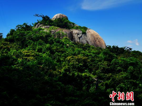 “亚龙湾弥勒大佛”。　黄庆优 摄