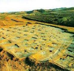 河南舞阳发现新石器时代稻田类遗址