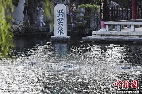 “天下第一泉”趵突泉连续喷涌14年 “济南泉·城文化景观”将申遗