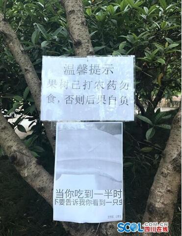 高校为防学生摘果子挂搞笑标语:谁摘果子谁挂科