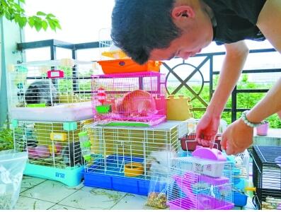 暑假大学留校男生开临时寄养点友情收留宠物