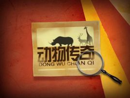 动物传奇