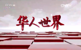华人世界