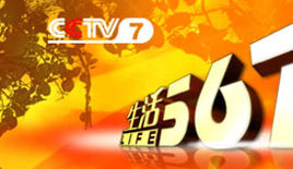 生活567