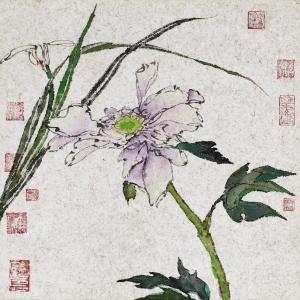 吴冠南花鸟画：绚烂奔纵的写意
