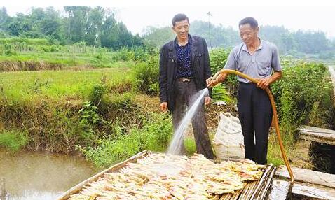 地坪镇：“123”思路助推脱贫攻坚