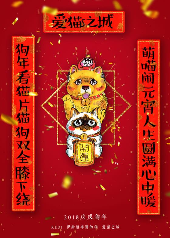 纪录片《爱猫之城》曝“猫狗双全”海报 