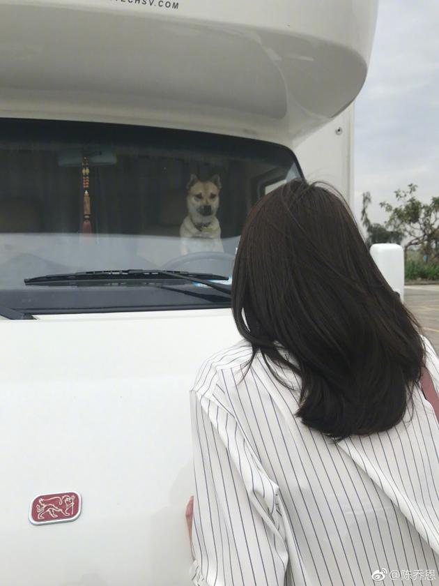 陈乔恩与爱犬来福隔车窗对望 互动超有爱