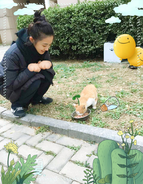 张含韵暖心喂食流浪猫 呼吁关爱小动物