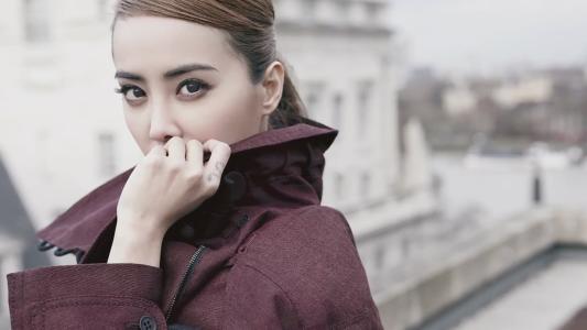玩上瘾？蔡依林再次将爱犬扮成三明治超萌